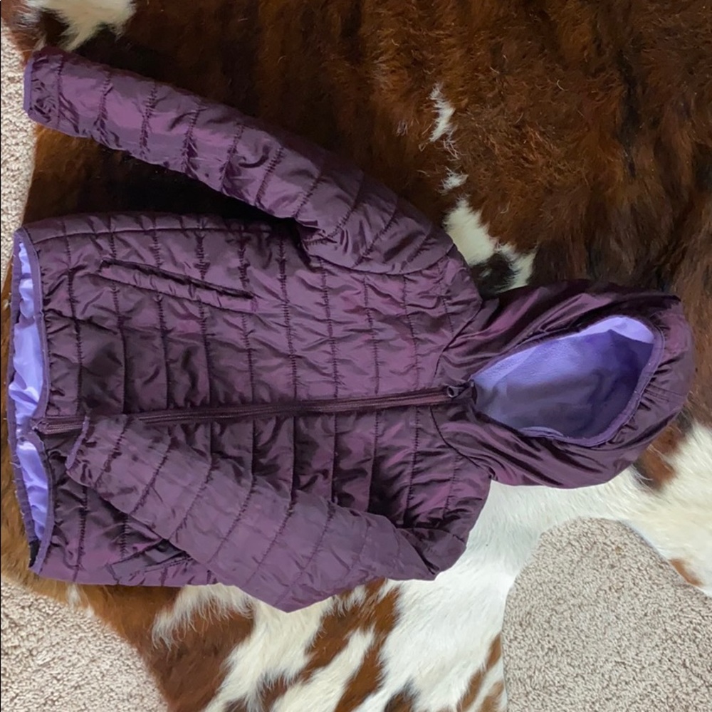 Winter Coat